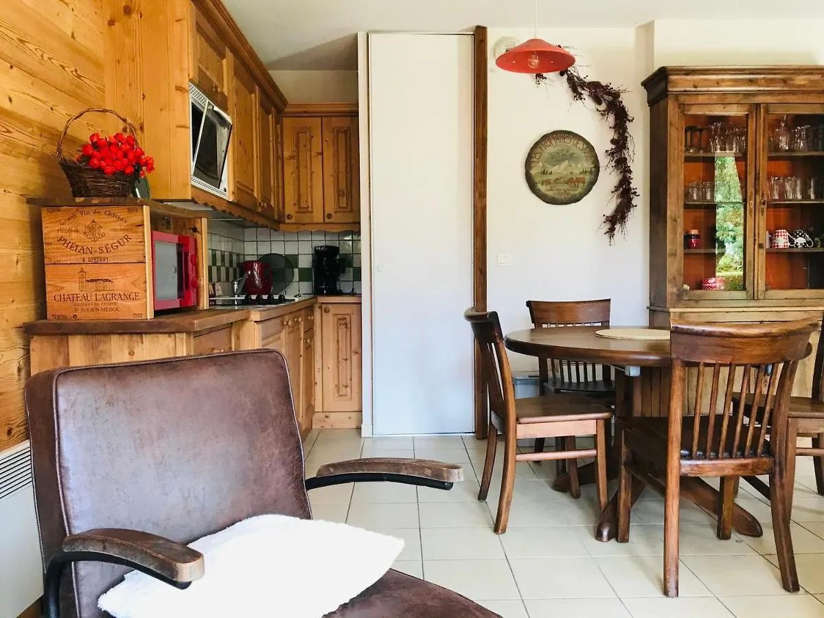 Apartment Coquet T2 Avec Terrasse Plein Sud, Au Centre De Samoens, Proche Commerces Et Ski-Bus - Fr-1-629-79